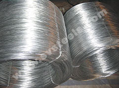 Galvanized Wire